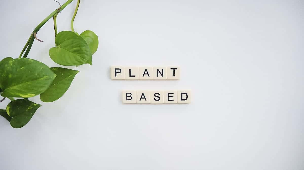Dijeta na biljnoj osnovi “Plant base Diet“ - Sve što trebate znati a nitko Vam nije rekao