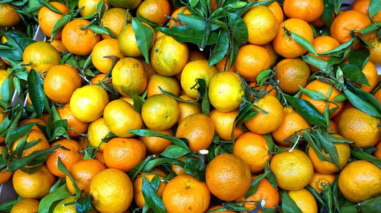 7 zdravstvenih prednosti mandarina