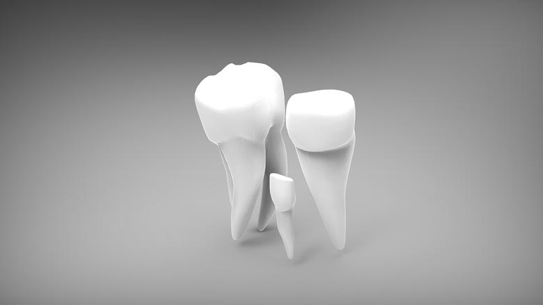 vrste zuba