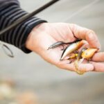 Mamci i varalice za ribolov: Sve što biste trebali znati prije nego što krenete u ribolov