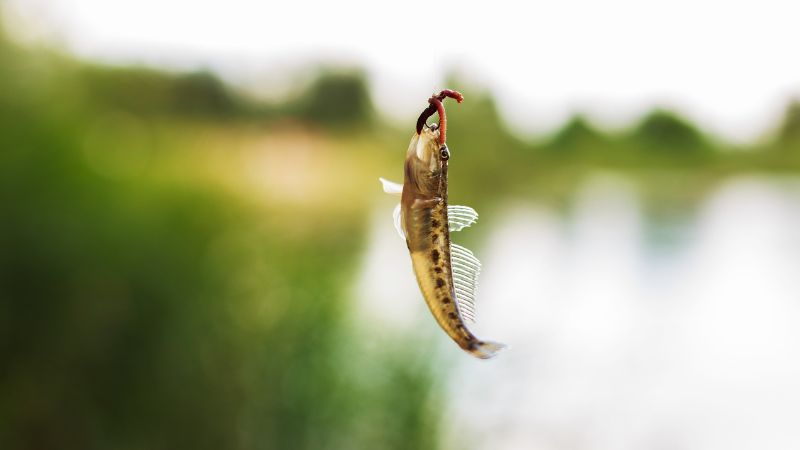 riba upecana na prirodan mamac